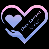 Shear Demand Services avatar image