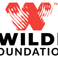 The WILDE Foundation avatar image