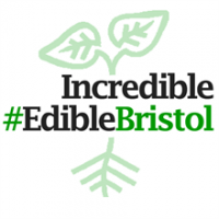 Incredible Edible Bristol avatar image