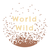 WorldWild CIC avatar image