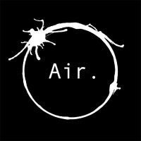 Air avatar image
