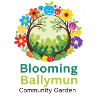 Better Ballymun avatar image