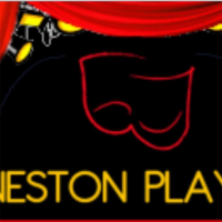 Neston Players avatar image