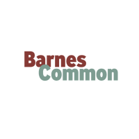 Barnes Common Limited avatar image