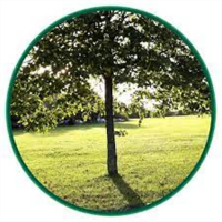 Halebank Parish Council  avatar image