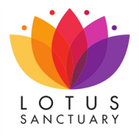 Lotus Sanctuary avatar image
