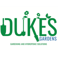 Dukes Gardens avatar image