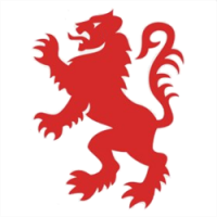 Thakeham Village Football Club avatar image
