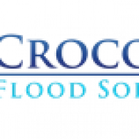 Crocodile Flood Solutions Limited avatar image