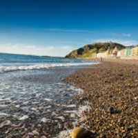 Aberystwyth Beach Buddies avatar image