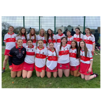 Whitehall Colmcille GAA Club avatar image