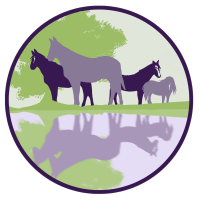 The Positive Herd Project CIC avatar image