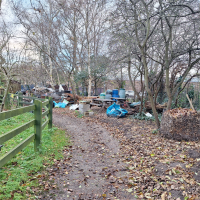 Stonebridge city farm avatar image