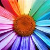nXgrbir#o5 GORBT6PyHj avatar image