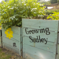 Growing Sudley CIC avatar image