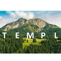 TEMPL avatar image