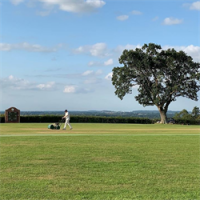 Alberbury Cricket Club avatar image