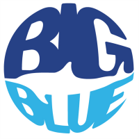 Big Blue Foundation avatar image