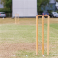 Lapworth Cricket Club avatar image