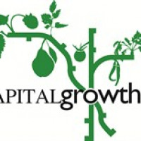 Capital Growth avatar image