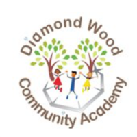 Diamond Wood Community Academy avatar image