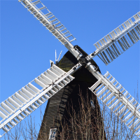 Friends of Herne Mill avatar image