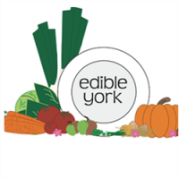 Edible York avatar image