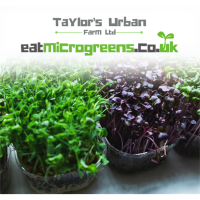 Taylor's Urban Farm Ltd avatar image