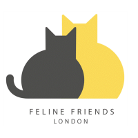Feline Friends London - Redbridge  avatar image