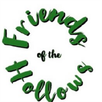 Friends of the Hollows avatar image