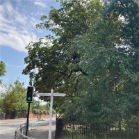 The Dulwich Estate avatar image