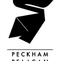 The Peckham Pelican avatar image