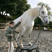 Centred Horseplay avatar image