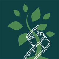 Sustain Film Festival avatar image