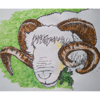 Wye Community Farm Limited avatar image