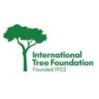 International Tree Foundation avatar image