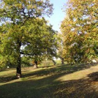 Friends of Maryon and Maryon Wilson Parks avatar image