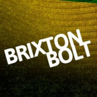 Brixton Bolt avatar image
