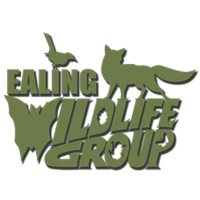 Ealing Wildlife Group avatar image