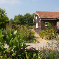 Normandy Community Therapy Garden avatar image