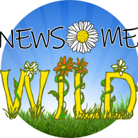 Newsome Wild avatar image