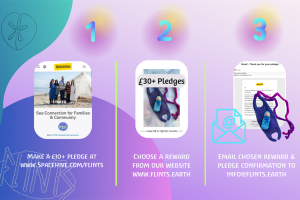 copy-of-flints-pledge-rewards-1080-x-1350-px.png - Sea Connection for Families & Community 