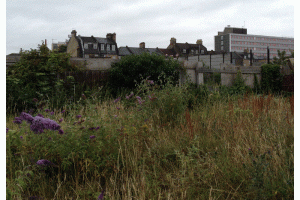 FGCG-site-visit-main.gif - Green Space in the Heart of Forest Gate