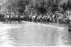27-swimming-club.jpg - Revive Wild Swimming in Broomfield Park