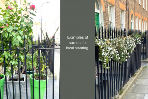 6.png - Our Fitzrovia: Green up Cleveland Street
