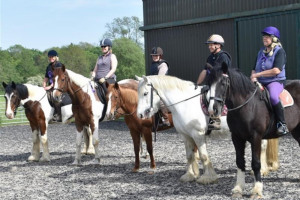 dsc-0003.jpg - Horse riding school for children adults 