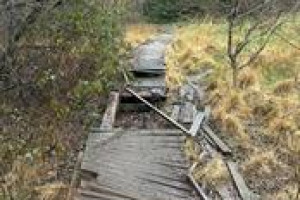 Restore the Parc Llewelyn Boardwalk