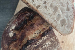 sourdough-rotation.jpg - Urban Food Sharing - Sourdough Rotation