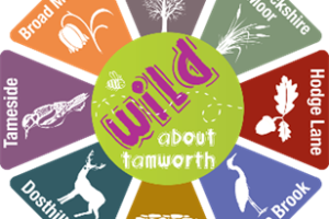 Wild about Tamworth's Local Nature Reserves