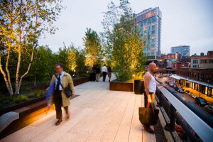 highline-park-photo-1.jpg - TYS Oak Way Renovation